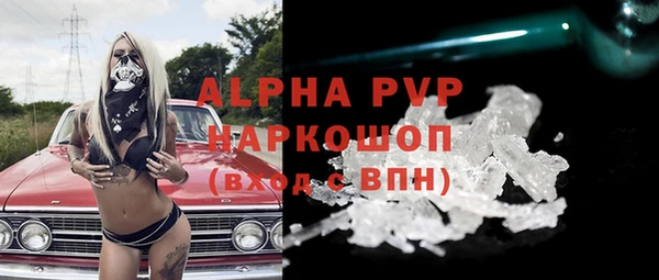 прущие грибы Горняк
