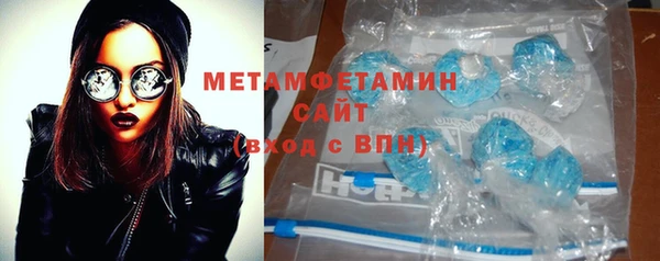 прущие грибы Горняк