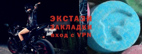 прущие грибы Горняк
