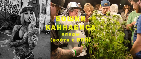 прущие грибы Горняк