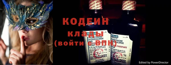 прущие грибы Горняк