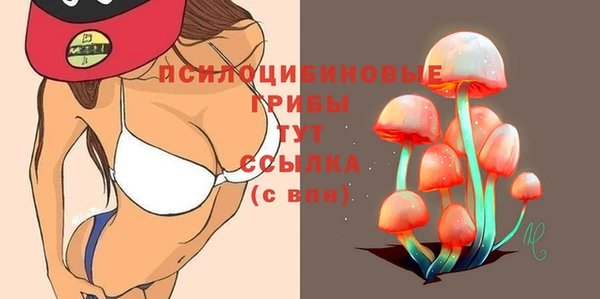 амф Горно-Алтайск