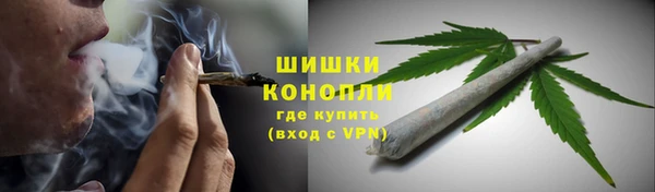 прущие грибы Горняк