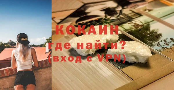 прущие грибы Горняк