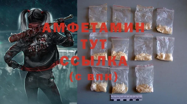 прущие грибы Горняк