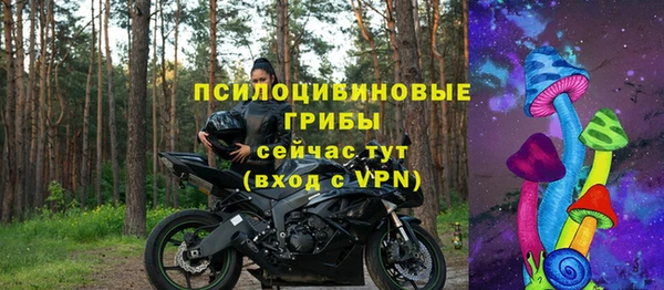 прущие грибы Горняк