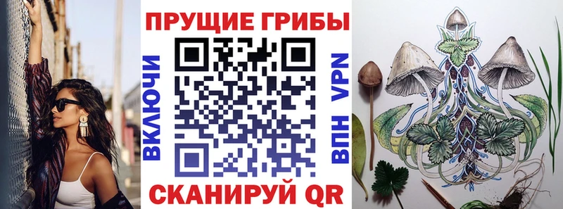Псилоцибиновые грибы Psilocybe  Пермь 